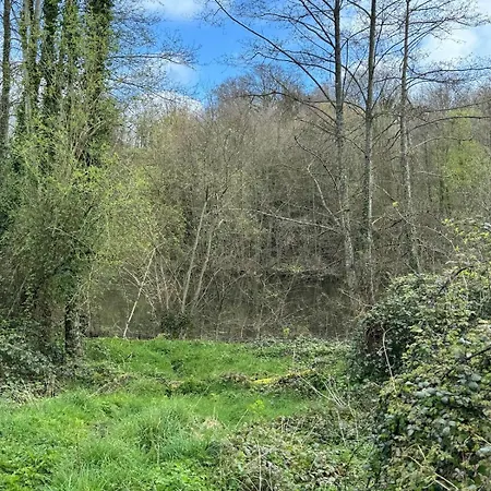 For Rent, Enjoy Silence & Nature Sainte-Marguerite-de-Viette