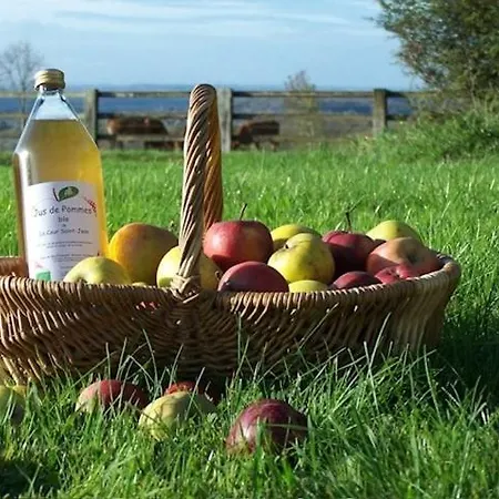 For Rent, Enjoy Silence & Nature בית נופש Sainte-Marguerite-de-Viette