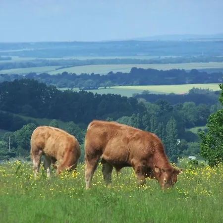 For Rent, Enjoy Silence & Nature Sainte-Marguerite-de-Viette