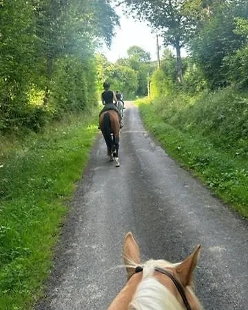 For Rent, Enjoy Silence & Nature *