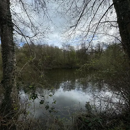 Feriehus For Rent, Enjoy Silence & Nature *