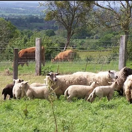 For Rent, Enjoy Silence & Nature בית נופש Sainte-Marguerite-de-Viette