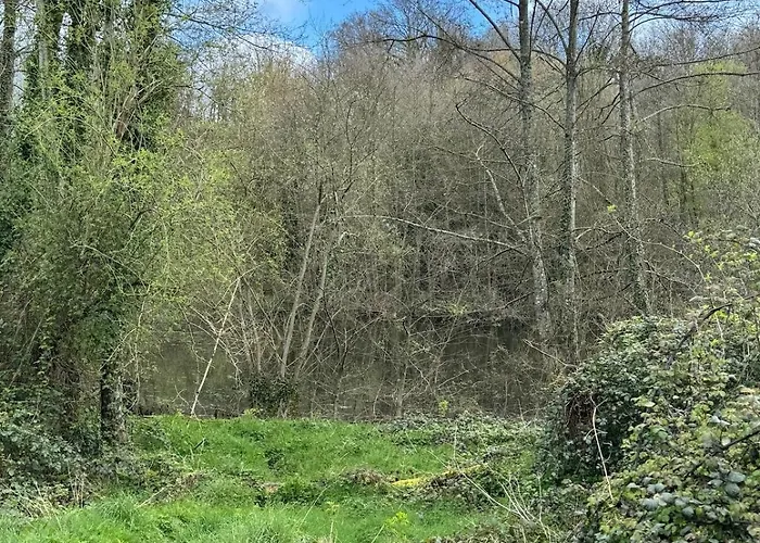 For Rent, Enjoy Silence & Nature Sainte-Marguerite-de-Viette