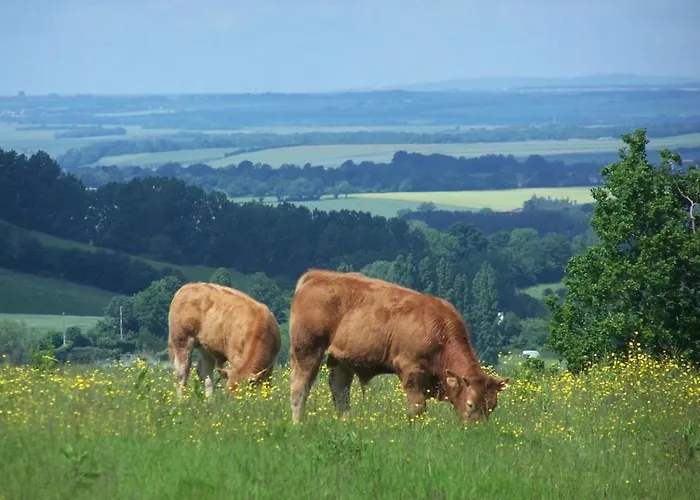For Rent, Enjoy Silence & Nature Sainte-Marguerite-de-Viette
