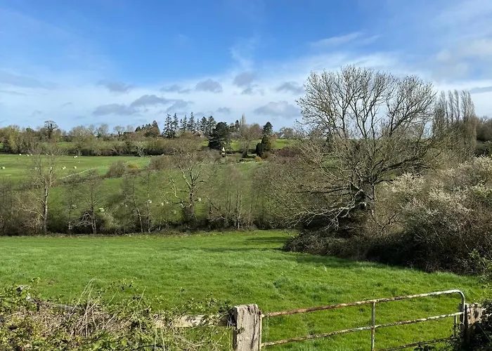 For Rent, Enjoy Silence & Nature