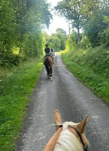 For Rent, Enjoy Silence & Nature *