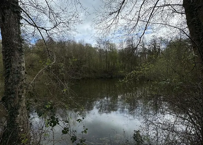 Holiday home For Rent, Enjoy Silence & Nature *