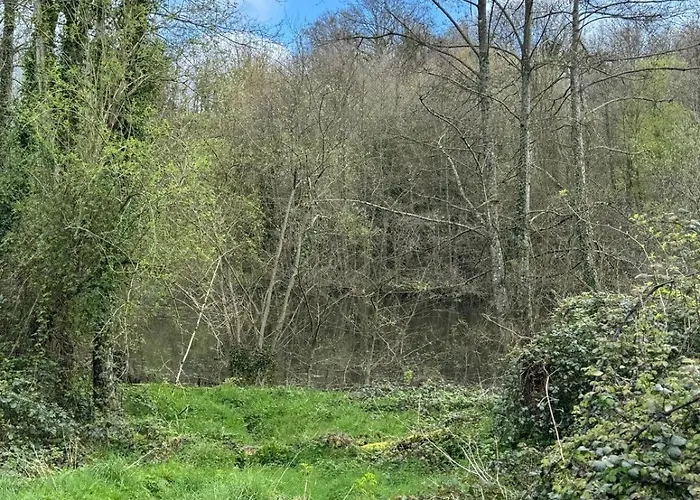 For Rent, Enjoy Silence & Nature *