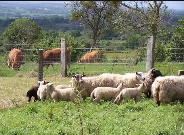 For Rent, Enjoy Silence & Nature Holiday home Sainte-Marguerite-de-Viette